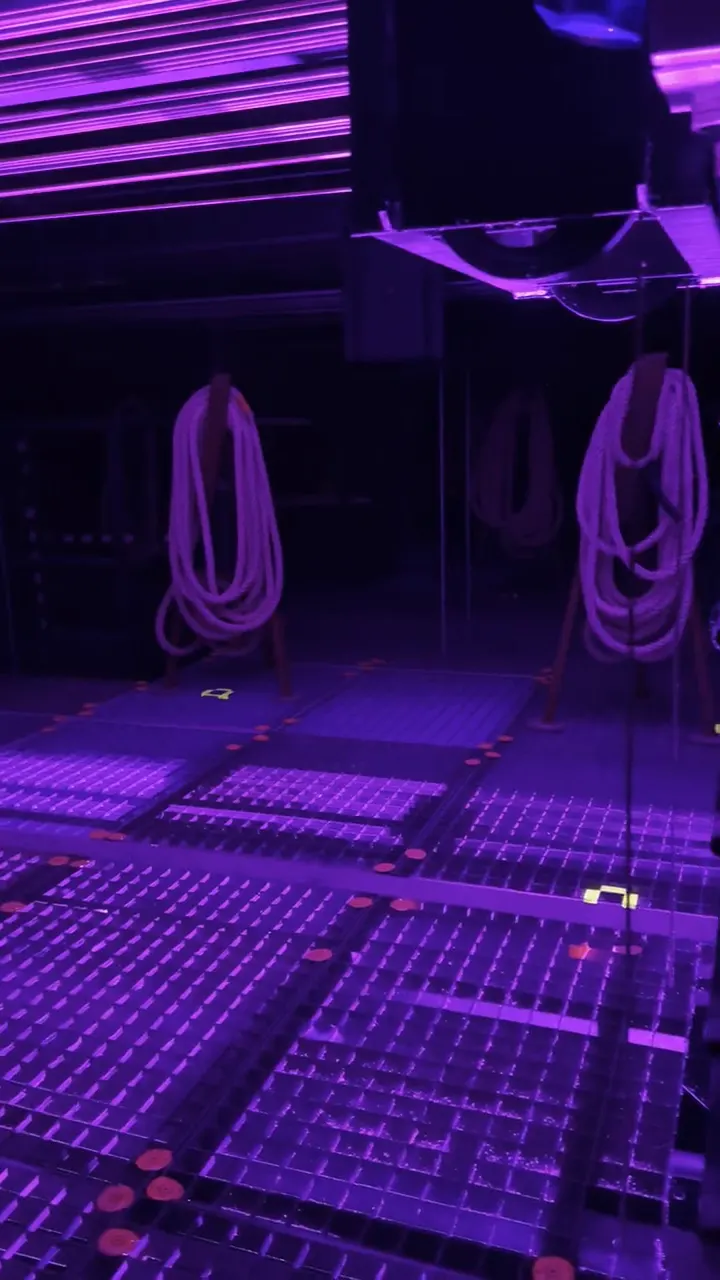Technical grid and rigging above the stage
